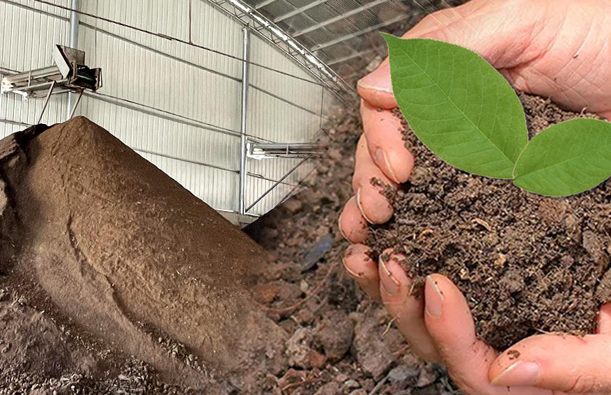 Can manure used as fertilizer