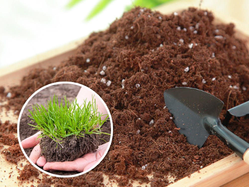 How to Make Potting Soil Organic Fertilizer Compost