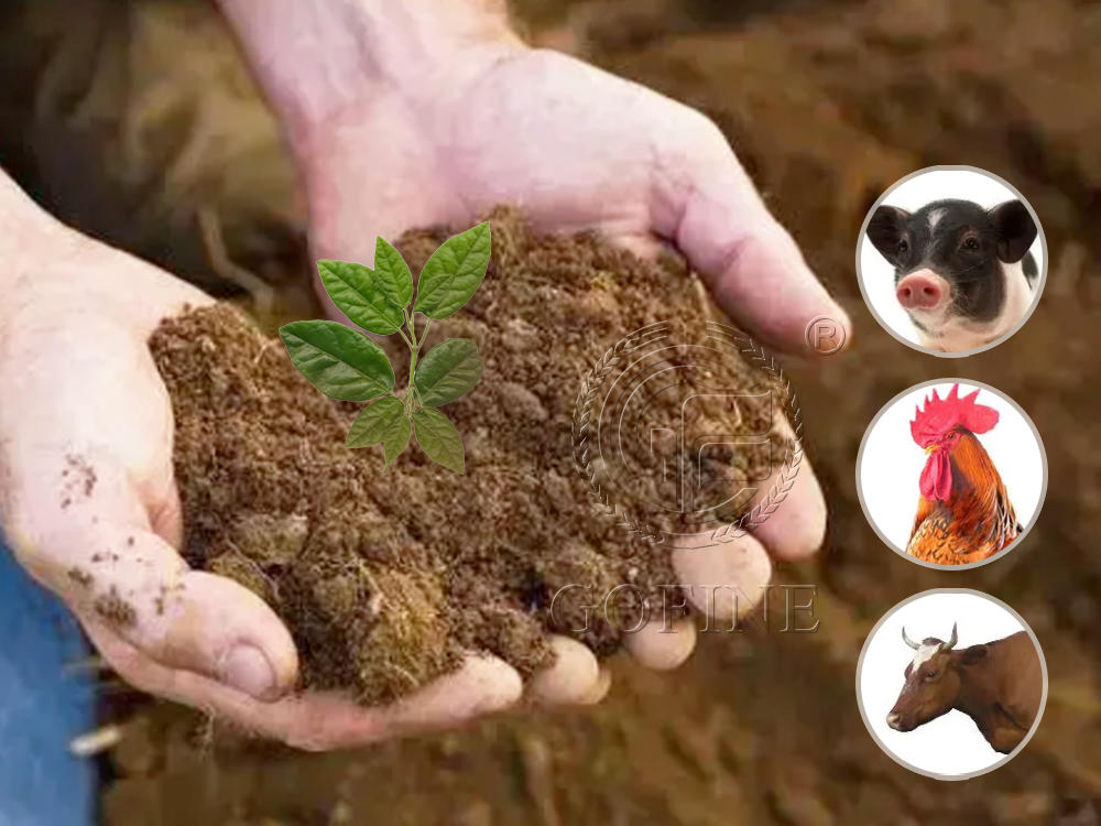 Manure fertilizer production solutions