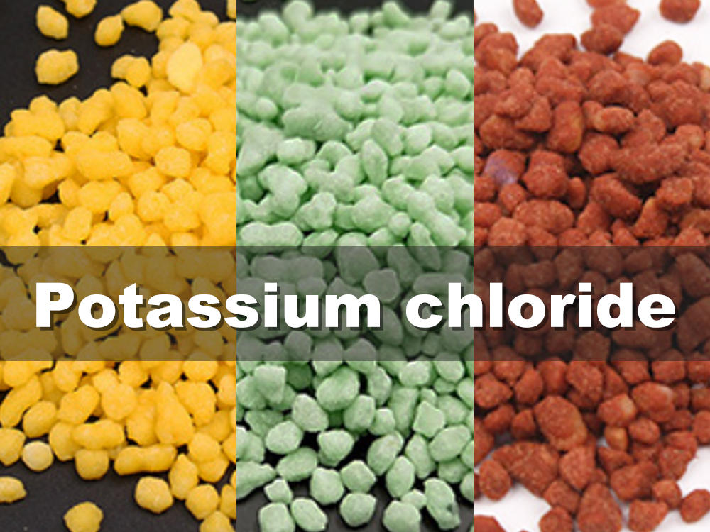 How to process potassium chloride into fertilizer granules